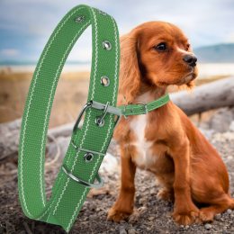 Капроновый одинарный ошейник для собак №129 35мм длина-58 см Зеленый (2021)