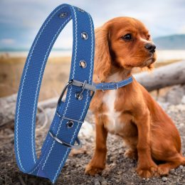 Капроновий одинарний нашийник для собак №129 35мм довжина-58 см Синій (2021)