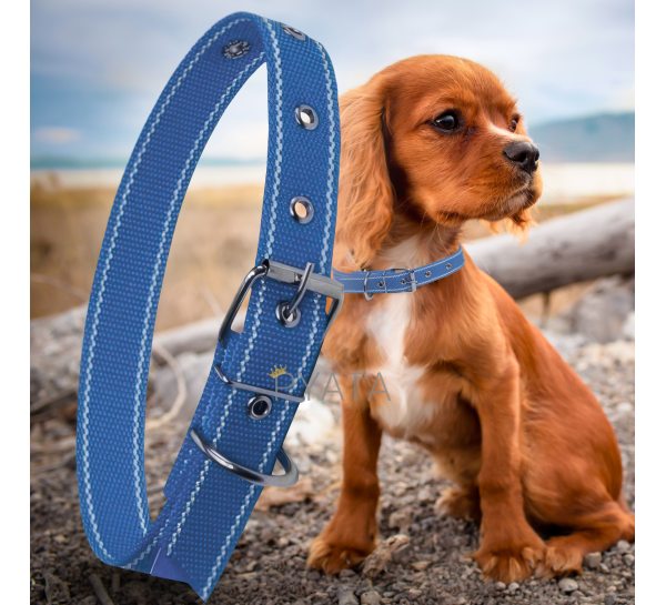 Капроновый одинарный ошейник для собак №129 35мм длина-58 см Синий (2021)