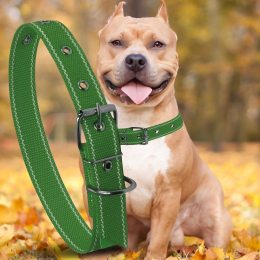 Капроновий одинарний нашийник для собак №128 30мм довжина-52 см Зелений (2021)