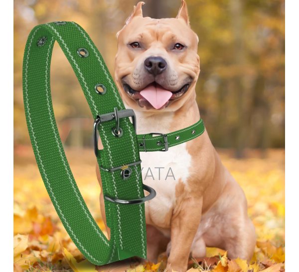 Капроновий одинарний нашийник для собак №128 30мм довжина-52 см Зелений (2021)