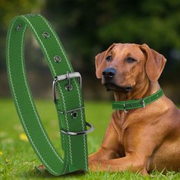 Капроновый одинарный ошейник для собак №130 40мм длина-64 см Зеленый (2021)