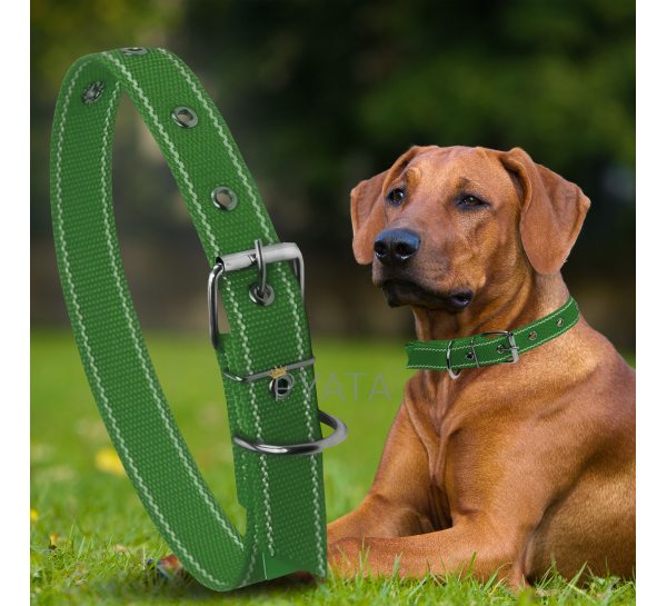 Капроновий одинарний нашийник для собак №130 40мм довжина-64 см Зелений (2021)