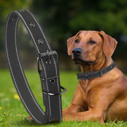 Капроновий одинарний нашийник для собак №130 40мм довжина-64 см Чорний (2021)
