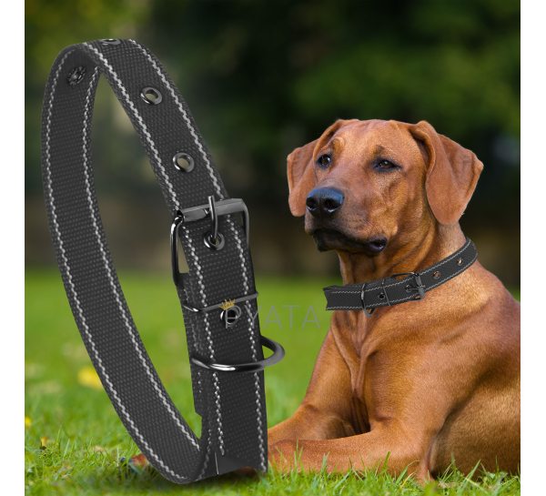 Капроновый одинарный ошейник для собак №130 40мм длина-64 см Черный (2021)