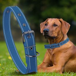 Капроновий одинарний нашийник для собак №130 40мм довжина-64 см Синій (2021)