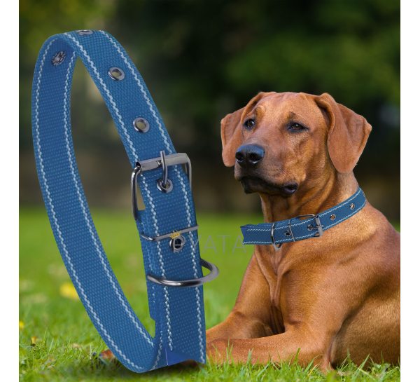 Капроновий одинарний нашийник для собак №130 40мм довжина-64 см Синій (2021)