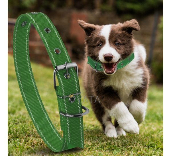 Капроновий одинарний нашийник для собак №131 45мм довжина-66 см Зелений (2021)