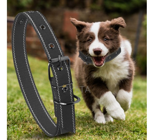 Капроновый одинарный ошейник для собак №131 45мм длина-66 см Черный (2021)