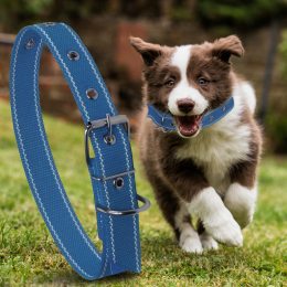Капроновий одинарний нашийник для собак №131 45мм довжина-66 см Синій (2021)