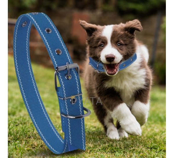 Капроновий одинарний нашийник для собак №131 45мм довжина-66 см Синій (2021)