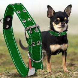 Капроновий подвійний нашийник для собак №132 20 мм довжина-46 см Зелений (2021)