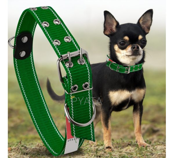 Капроновый двойной ошейник для собак №132 20 мм длина-46 см Зеленый (2021)
