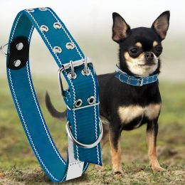 Капроновый двойной ошейник для собак №132 20 мм длина-46 см Синий (2021)