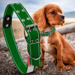 Капроновый двойной ошейник для собак №133 25 мм длина-47 см Зеленый (2021)