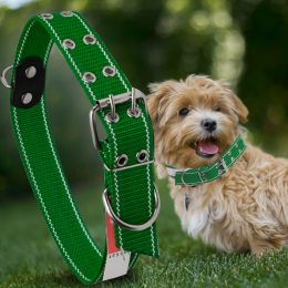 Капроновый двойной ошейник для собак №134 30 мм длина-57 см Зеленый (2021)