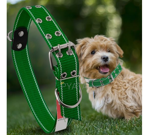 Капроновий подвійний нашийник для собак №134 30 мм довжина-57 см Зелений (2021)