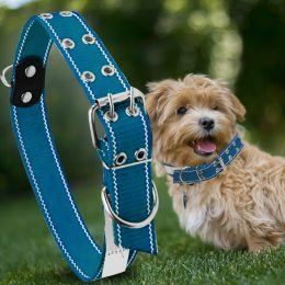 Капроновий подвійний нашийник для собак №134 30 мм довжина-57 см Синій (2021)