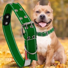 Капроновый двойной ошейник для собак №135 35 мм длина-64 см Зеленый (2021)