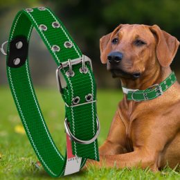 Капроновий подвійний нашийник для собак №136 40 мм довжина-76 см Зелений (2021)