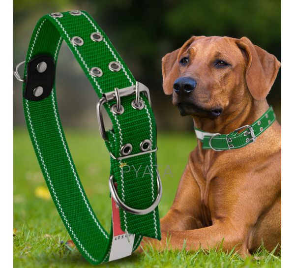 Капроновий подвійний нашийник для собак №136 40 мм довжина-76 см Зелений (2021)