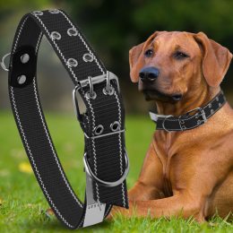 Капроновий подвійний нашийник для собак №136 40 мм довжина-76 см Чорний (2021)