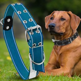 Капроновий подвійний нашийник для собак №136 40 мм довжина-76 см Синій (2021)