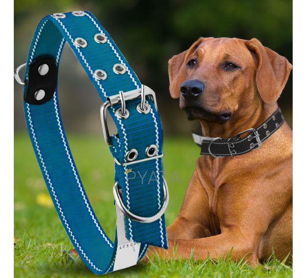 Капроновий подвійний нашийник для собак №136 40 мм довжина-76 см Синій (2021)