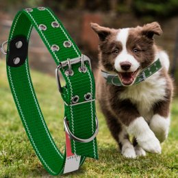 Капроновый двойной ошейник для собак №137 45 мм длина-81 см Зеленый (2021)