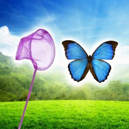 Дитячий Сачок для Метеликів Фіолетовий (SD)