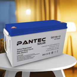 Портативна гелева акумуляторна батарея для різних систем та обладнання PANTEC 100-12 GEL 12V 100 Ah (АТ)