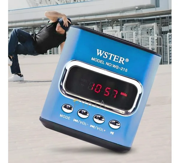 Компактная портативная музыкальная колонка с USB и CardReader, WSTER WS-215