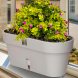Овальний горщик для квітів з автополиванням «LATINA WINDOW BOX» 17*39,5см, 6,7л Пісочний (DRKJ)