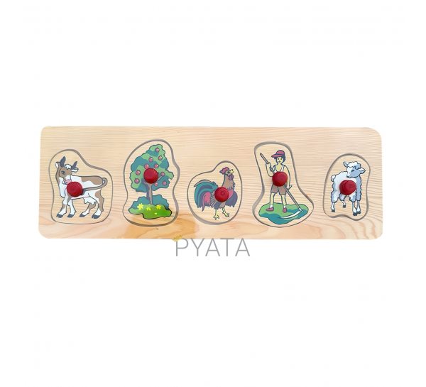 Детская развивающая деревянная игрушка Рамка-вкладыш D132 5 фигурок (NI)
