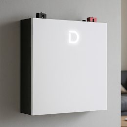 Аккумулятор DYNESS DL5.0C LiFePO4 51,2V 100Ah (51,2КВт) (OX)