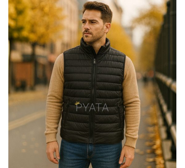 Мужская демисезонная жилетка 09317 Размер 4XL, Черный (BOT)