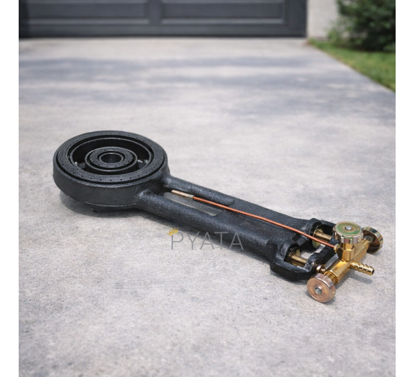 Чавунна газова форсунка ATLAS з двома контурами 20 кВт P-1999 (JS)