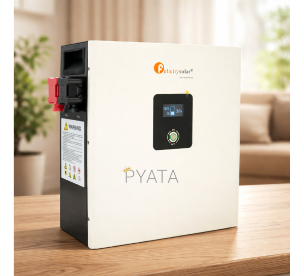 Акумулятор Felicity Solar LiFePO4 LPBF24200-A 25,6V 200Ah 5kWh 100A CAN&RS485 до 6 parallel BMS (ISM)