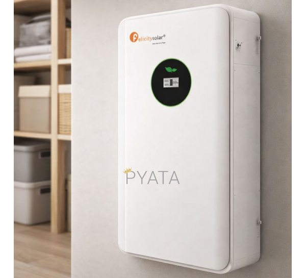 Акумулятор FelicityESS FLA48100-EU 48V 100Ah для резервного живлення та автономних систем (ISML)