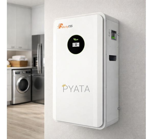 Акумуляторна настінна батарея Felicity Solar Battery FLA48200 (10 kw) (ISML)