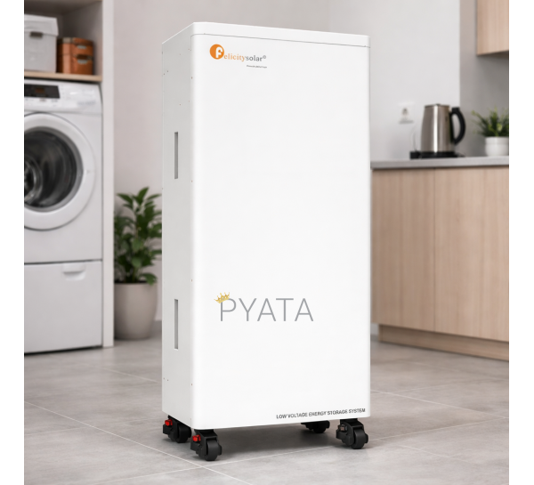 Акумуляторна підлогова батарея на колесах Felicity Solar Battery FLA48300TG2 (15 kw) (ISML)