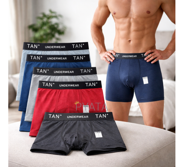 Комплект чоловічих трусів 5 в 1 (випадкові кольори) розмір М