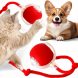 Розумний інтерактивний м’яч для тварин з LED, акумулятором і мотузкою-дражнилкою, Червоний(626/VEN-1433-С45/2)