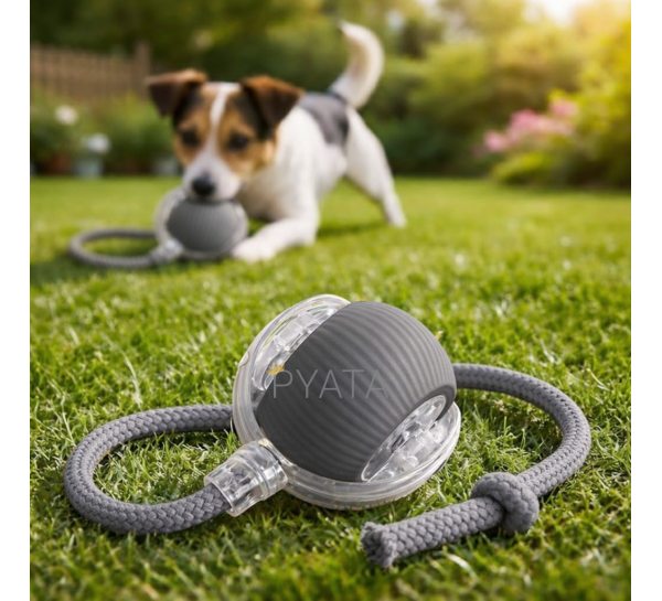 Розумний інтерактивний м’яч для тварин з LED, акумулятором і мотузкою-дражнилкою, Сірий(626/VEN-1433-С45/2)