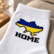 Комплект чоловічих шкарпеток 6 пар 41-45 на весну та осінь, бавовна 80%, різні кольори