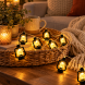 Светодиодная гирлянда Warm White USB 4,5 м 20 LED с теплым белым светом (ARSH/LU998)