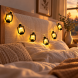 Светодиодная гирлянда Warm White USB 4,5 м 20 LED с теплым белым светом (ARSH/LU998)