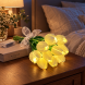 Светодиодный букет-ночник из 10 тюльпанов Flower Light на батарейках, декоративный с теплым светом (ARSH/KAR282)