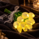 Светодиодный букет-ночник из 10 тюльпанов Flower Light на батарейках, декоративный с теплым светом (ARSH/KAR282)