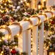 Декоративна LED-гірлянда Лалліброх 2 м 40 LED у вигляді каната на батарейках тепле біле світло IP20 (ARSH/KAR306)